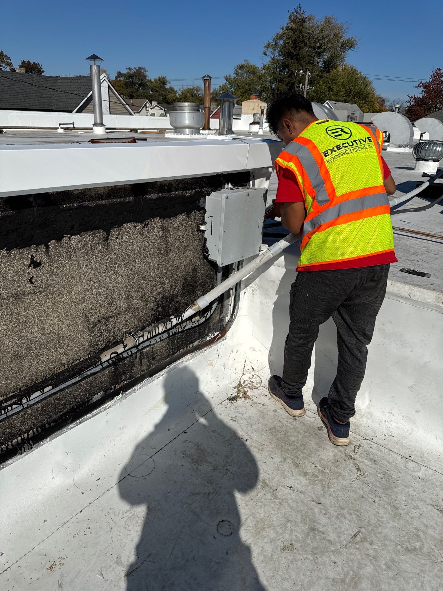 down net http20241101 149 lbagcu